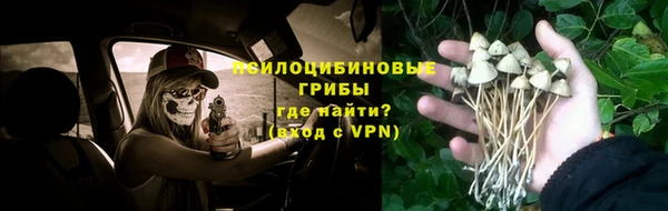 стаф Алексеевка