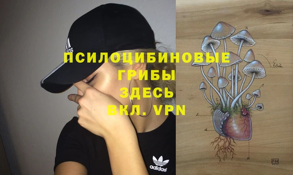 стаф Алексеевка